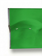 [Pre-Order] Wilkhahn Nr. 1200 (green)